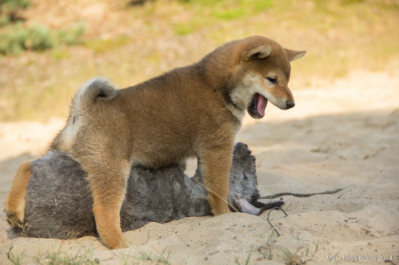 2014-07-17 Cherry & Friends-8227.jpg